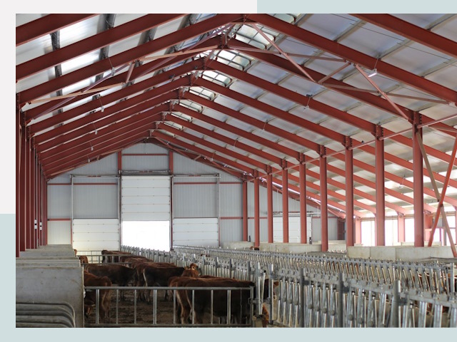 Строительство коровников в Надыме